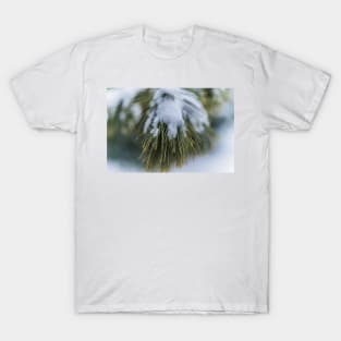 Christmas Pine 2 T-Shirt